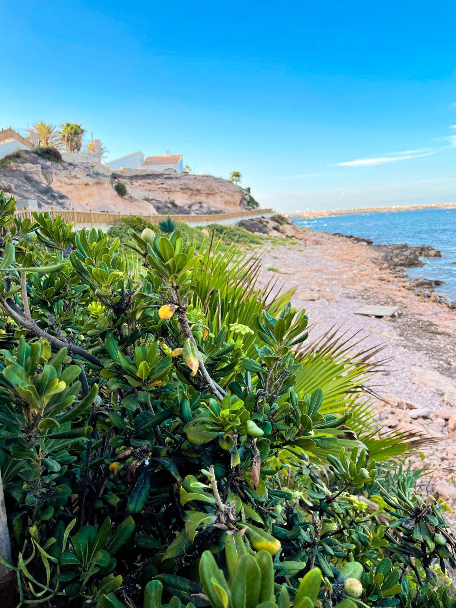 Hola Blanca - Sea, Golf, Chill Apartment Dehesa de Campoamor  Bagian luar foto