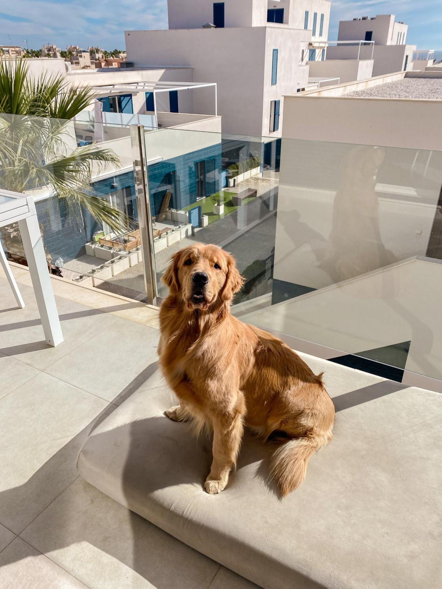 Hola Blanca - Sea, Golf, Chill Apartment Dehesa de Campoamor  Bagian luar foto