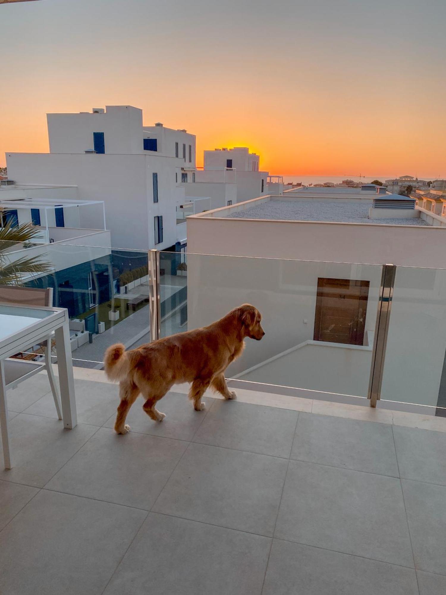Hola Blanca - Sea, Golf, Chill Apartment Dehesa de Campoamor  Bagian luar foto
